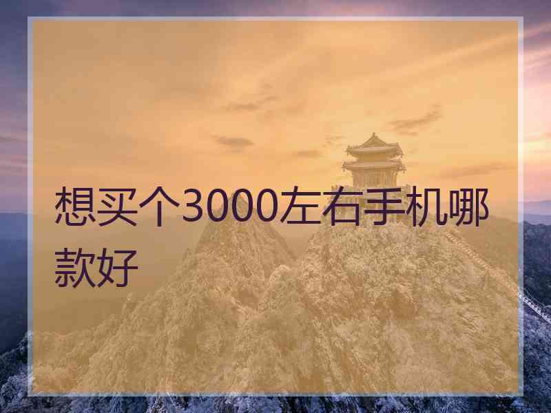 想买个3000左右手机哪款好