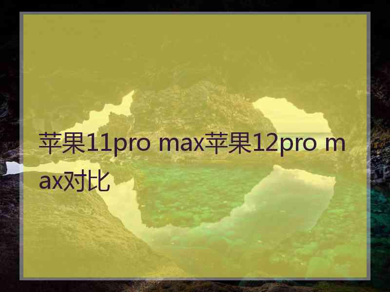 苹果11pro max苹果12pro max对比