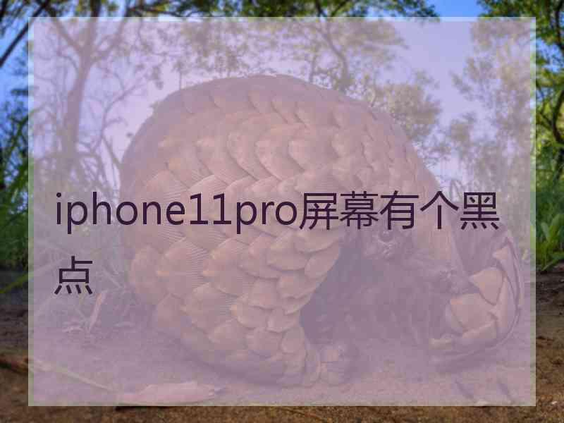 iphone11pro屏幕有个黑点