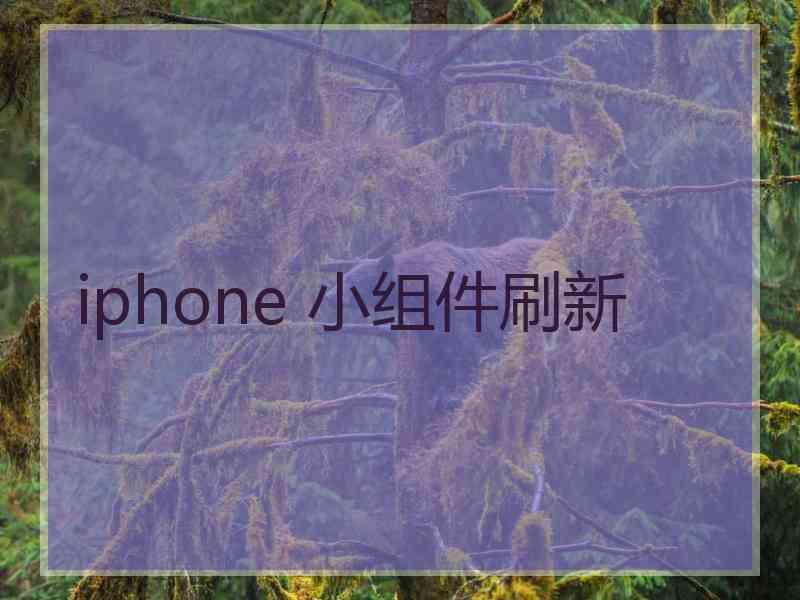 iphone 小组件刷新