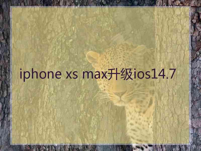 iphone xs max升级ios14.7