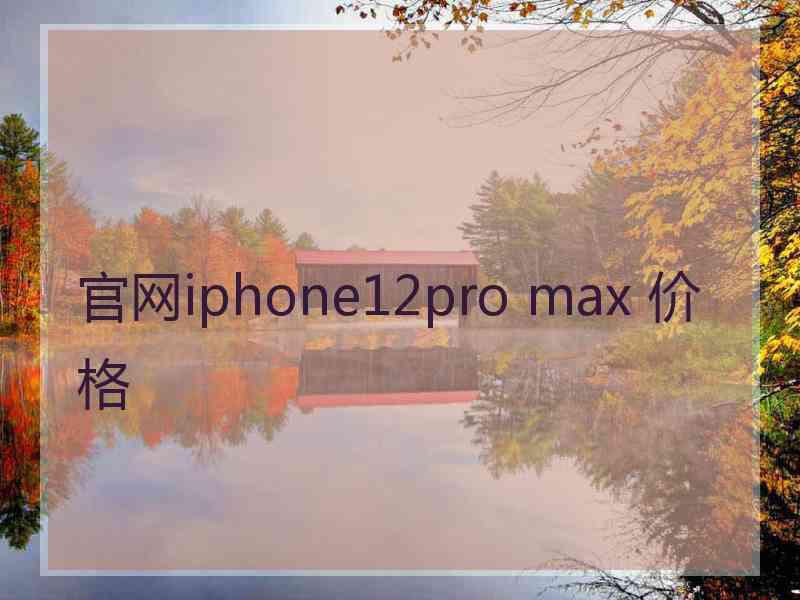 官网iphone12pro max 价格