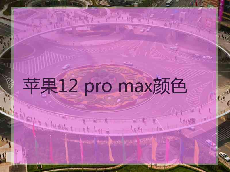 苹果12 pro max颜色