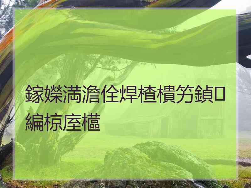 鎵嬫満澹佺焊楂樻竻鍞編椋庢櫙