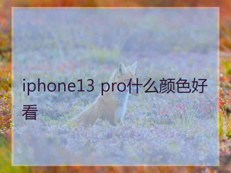 iphone13 pro什么颜色好看