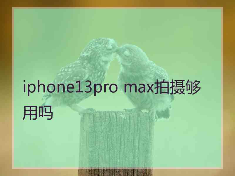 iphone13pro max拍摄够用吗