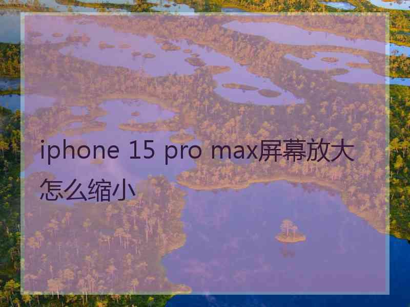 iphone 15 pro max屏幕放大怎么缩小