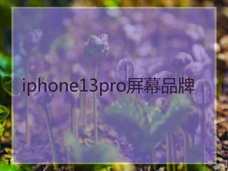 iphone13pro屏幕品牌