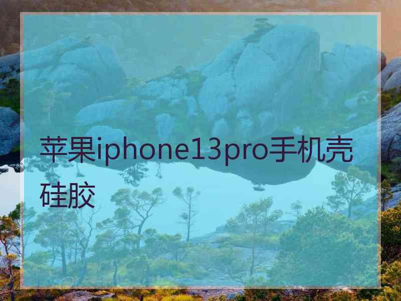 苹果iphone13pro手机壳硅胶