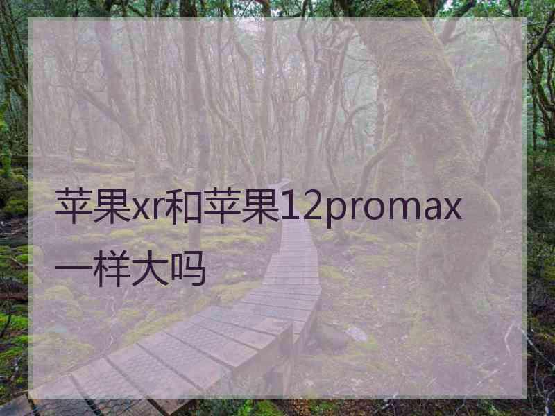 苹果xr和苹果12promax一样大吗