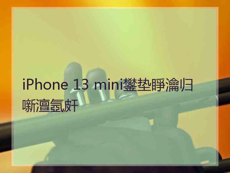 iPhone 13 mini鐢垫睜瀹归噺澶氬皯