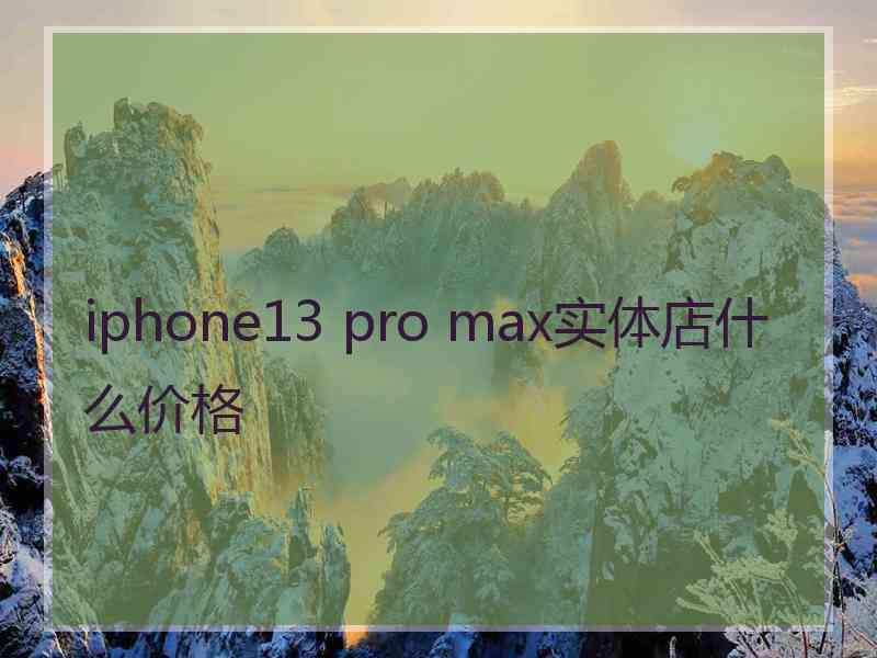 iphone13 pro max实体店什么价格