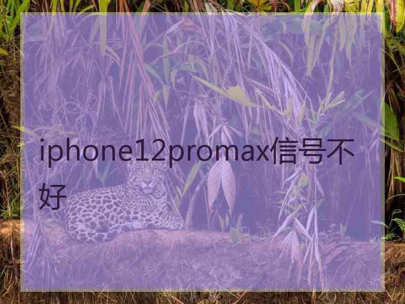 iphone12promax信号不好