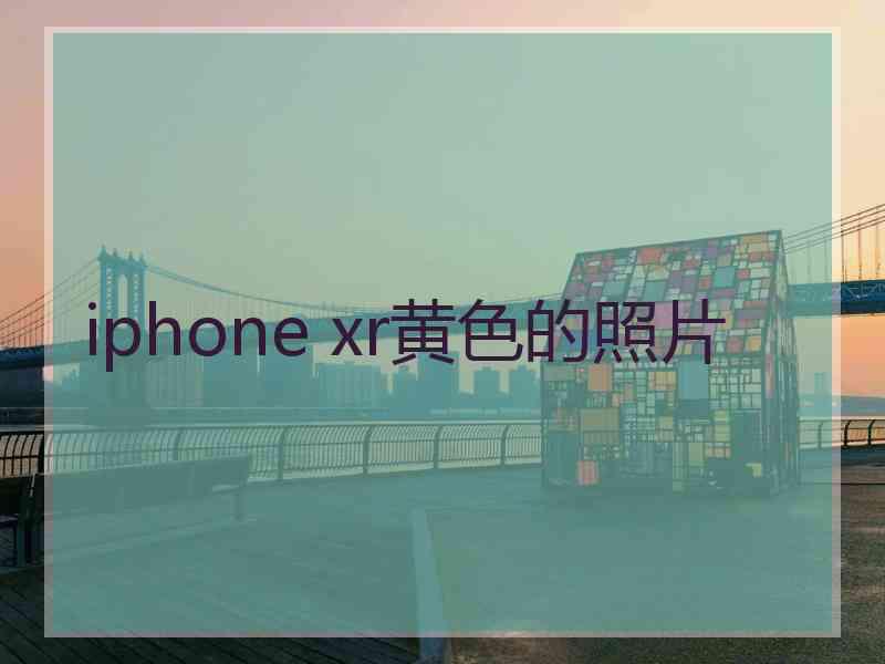 iphone xr黄色的照片