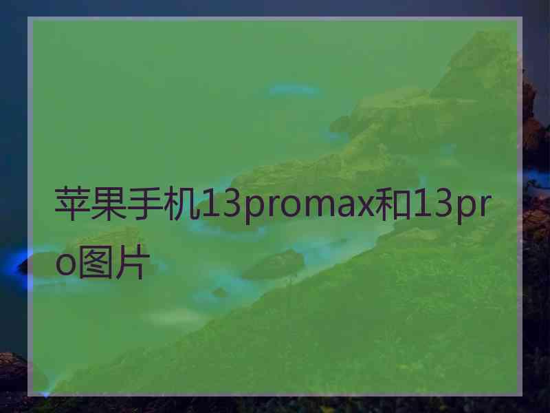 苹果手机13promax和13pro图片