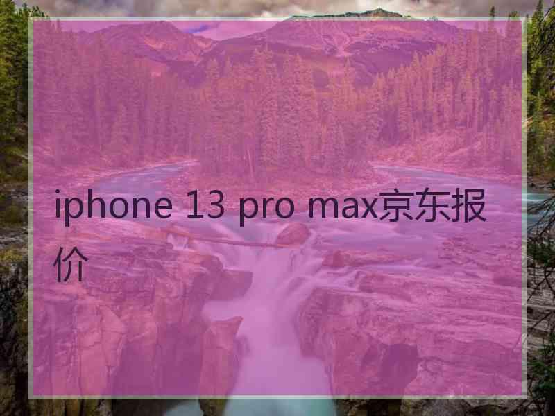 iphone 13 pro max京东报价