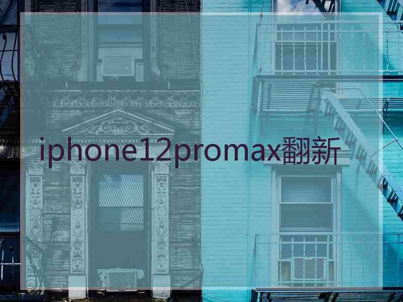 iphone12promax翻新