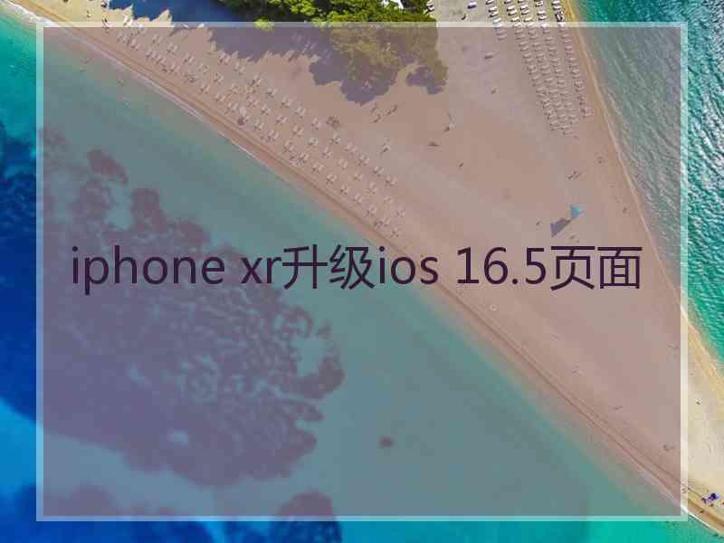 iphone xr升级ios 16.5页面