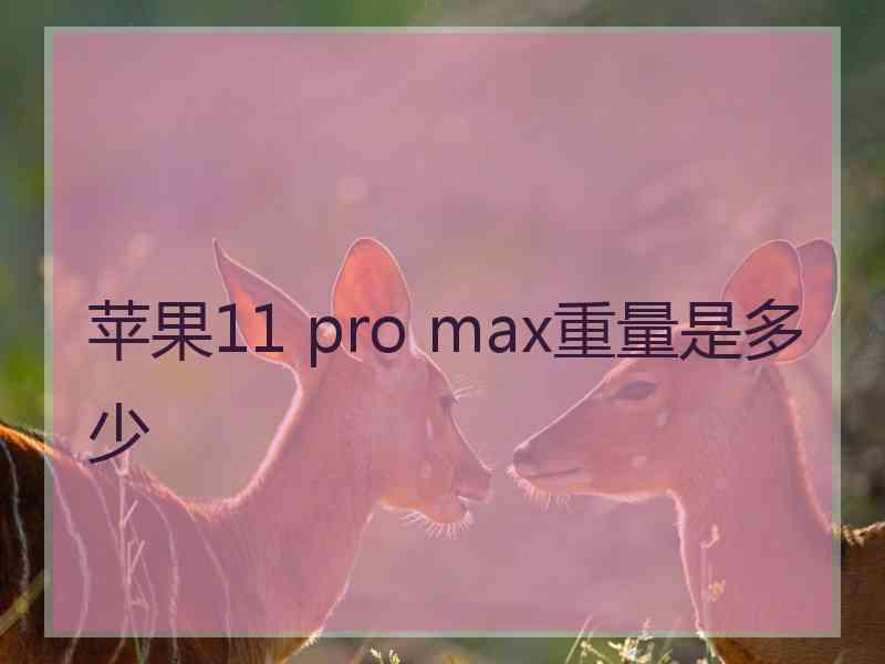 苹果11 pro max重量是多少