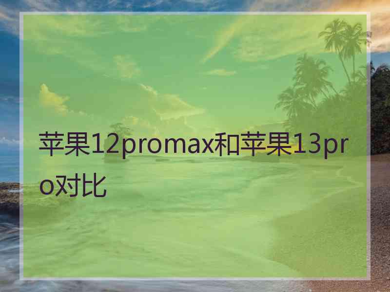 苹果12promax和苹果13pro对比