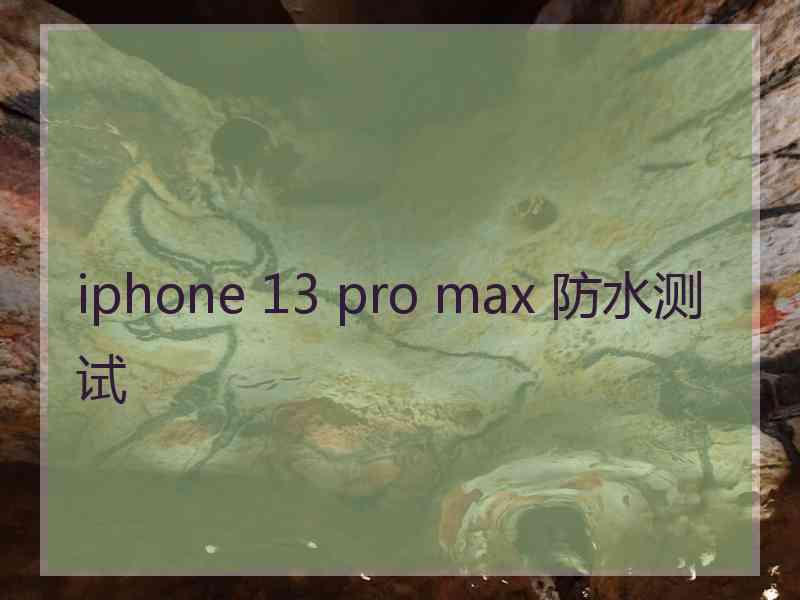 iphone 13 pro max 防水测试