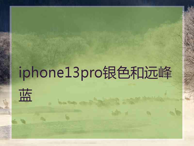 iphone13pro银色和远峰蓝