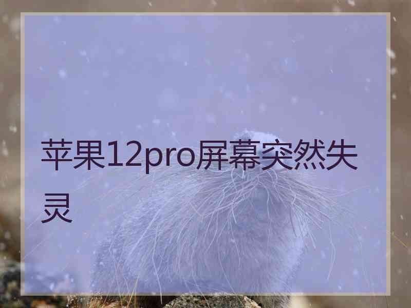 苹果12pro屏幕突然失灵