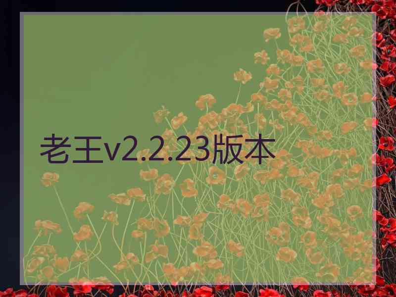 老王v2.2.23版本