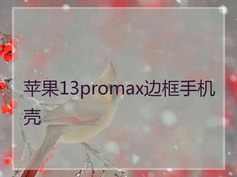 苹果13promax边框手机壳