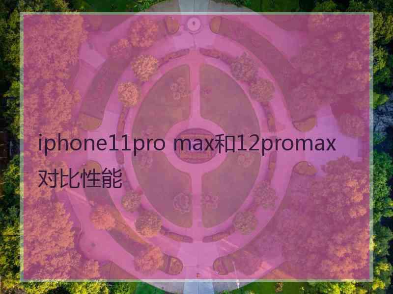 iphone11pro max和12promax对比性能