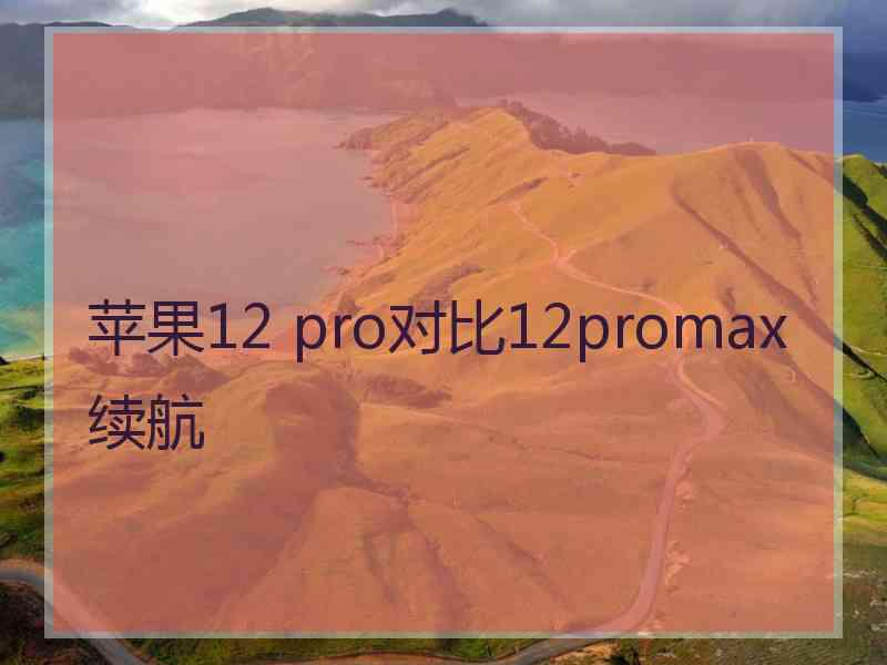 苹果12 pro对比12promax续航