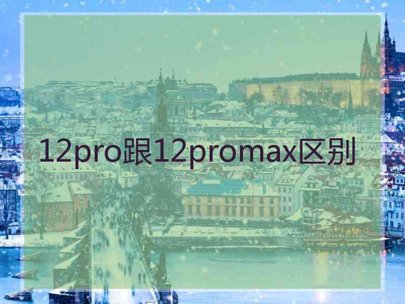 12pro跟12promax区别