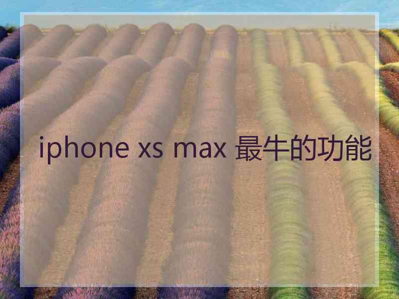 iphone xs max 最牛的功能