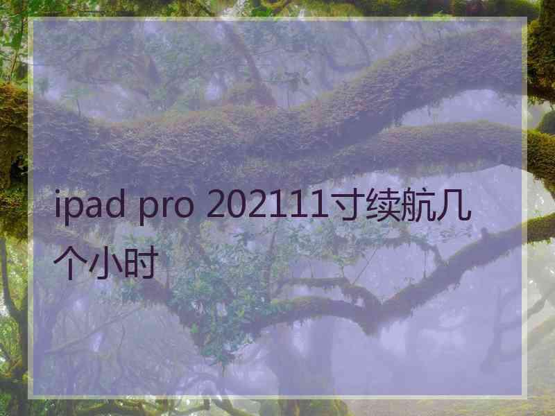 ipad pro 202111寸续航几个小时