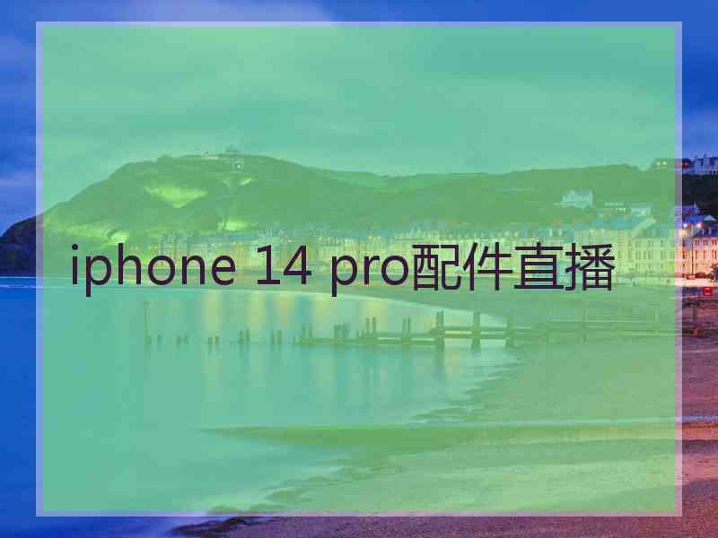 iphone 14 pro配件直播