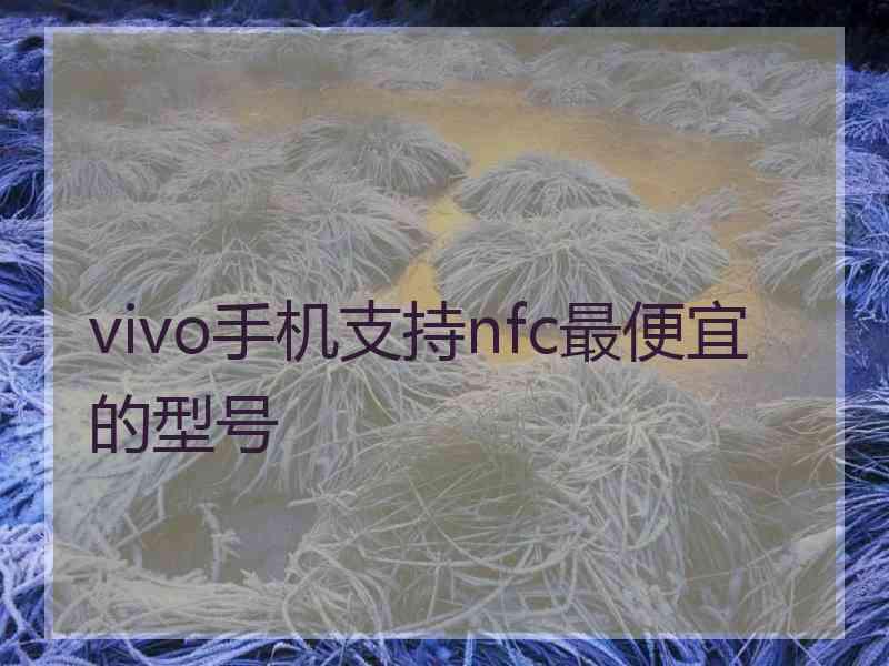 vivo手机支持nfc最便宜的型号