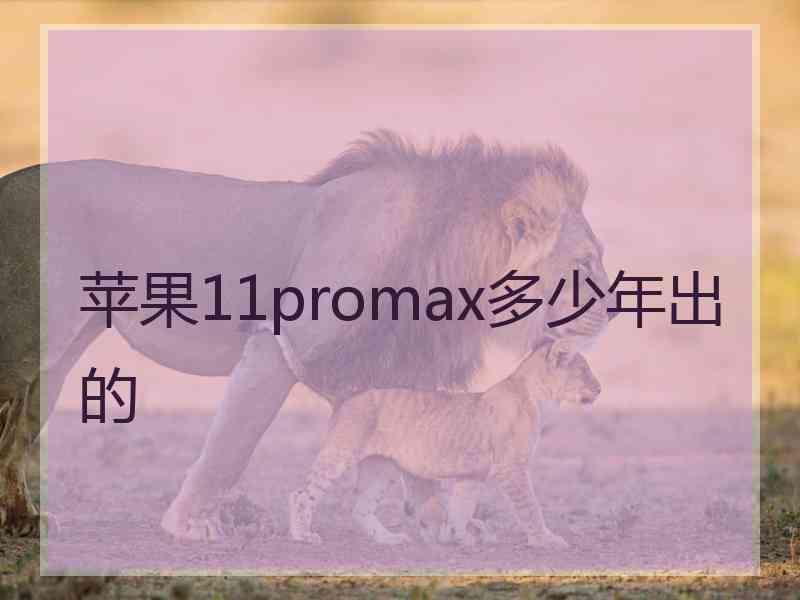 苹果11promax多少年出的