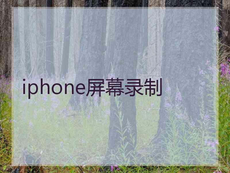 iphone屏幕录制