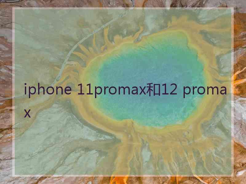 iphone 11promax和12 promax