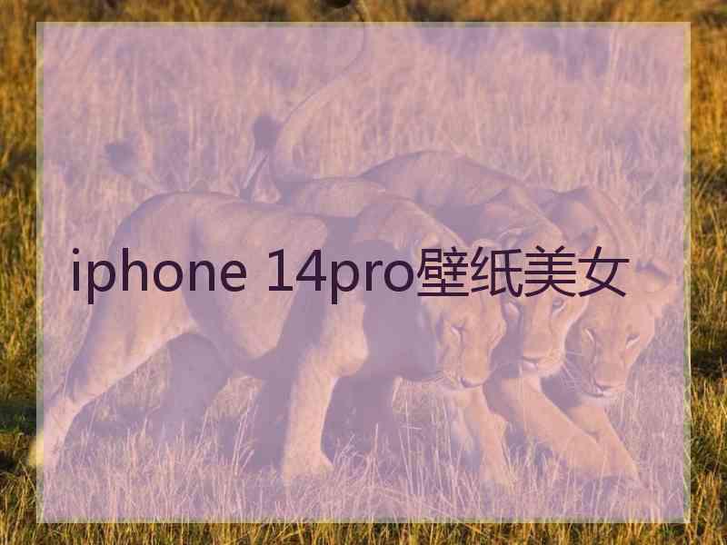 iphone 14pro壁纸美女