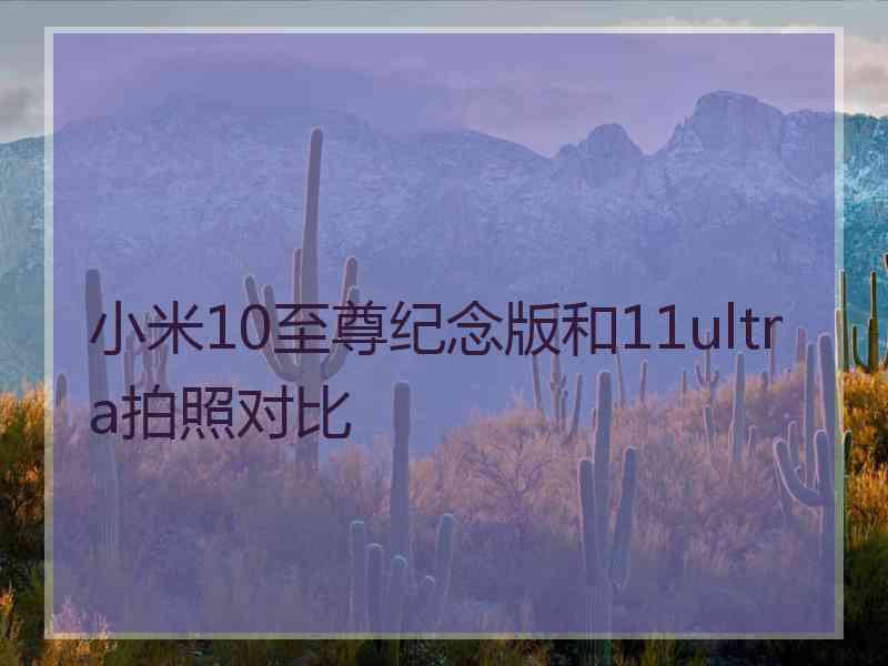 小米10至尊纪念版和11ultra拍照对比