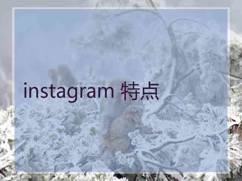 instagram 特点