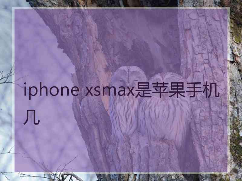 iphone xsmax是苹果手机几