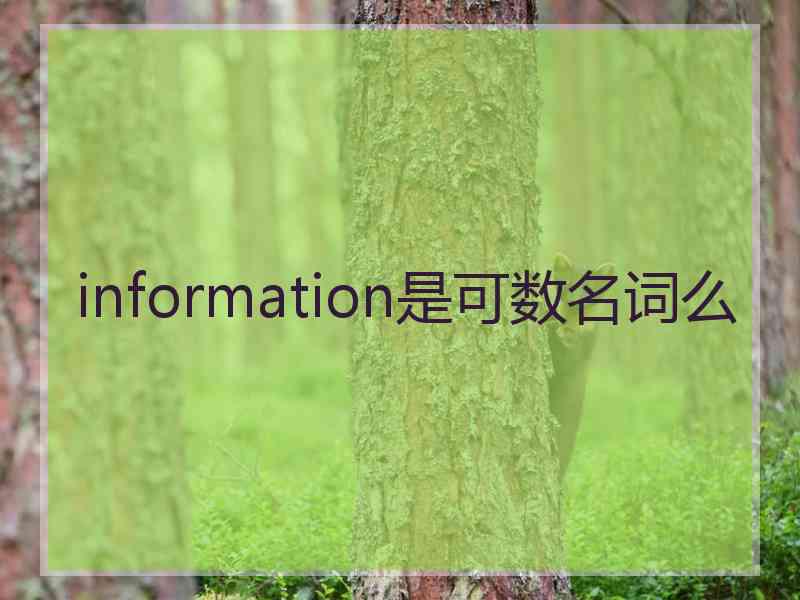 information是可数名词么