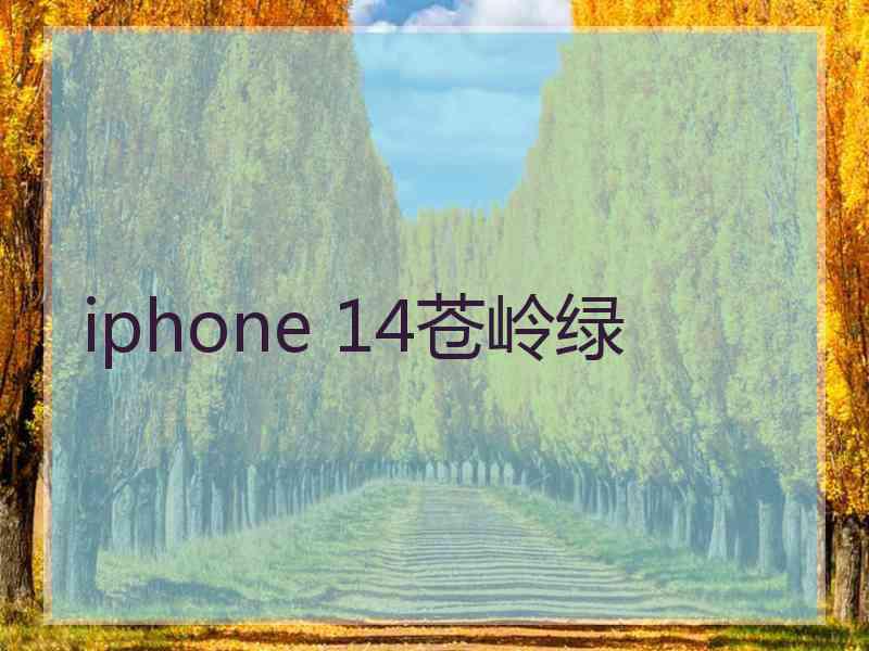 iphone 14苍岭绿