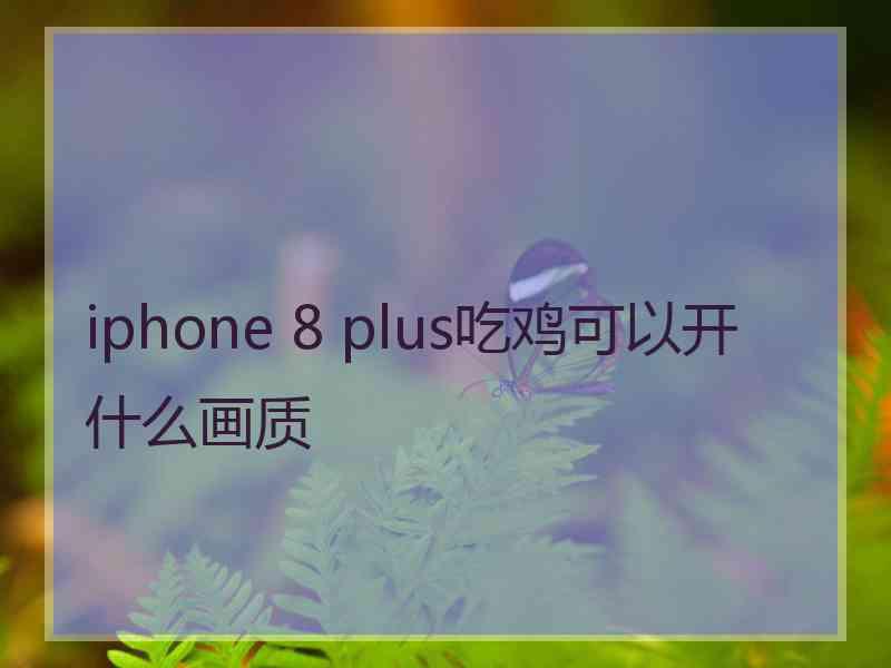 iphone 8 plus吃鸡可以开什么画质