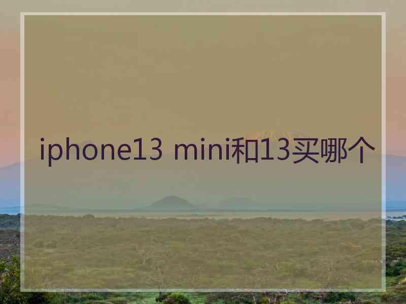 iphone13 mini和13买哪个