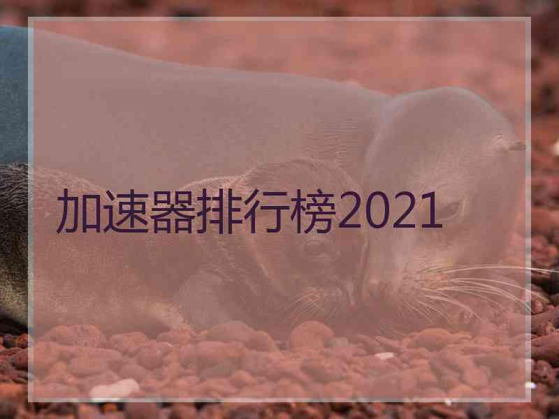 加速器排行榜2021