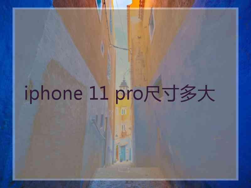 iphone 11 pro尺寸多大