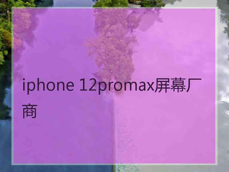 iphone 12promax屏幕厂商